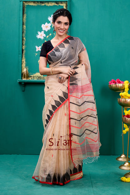 DESERT WAVES- MUSLIN SILK SAREE