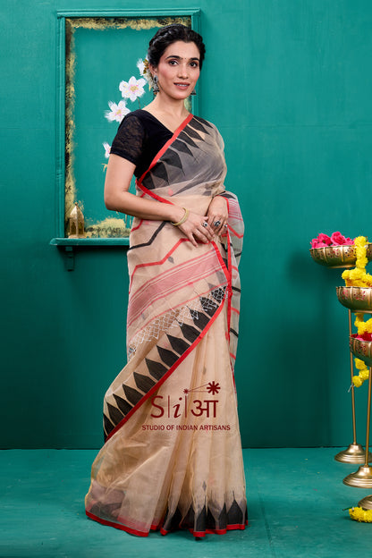 DESERT WAVES- MUSLIN SILK SAREE
