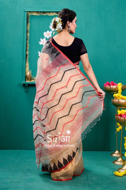 DESERT WAVES- MUSLIN SILK SAREE